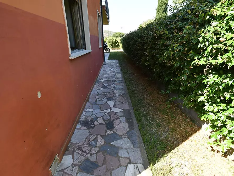 Immagine 35 di Appartamento in vendita  a San Giuliano Terme