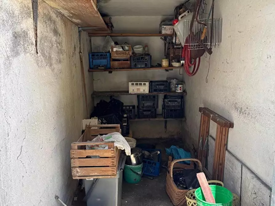 Immagine 30 di Terratetto in vendita  a Empoli