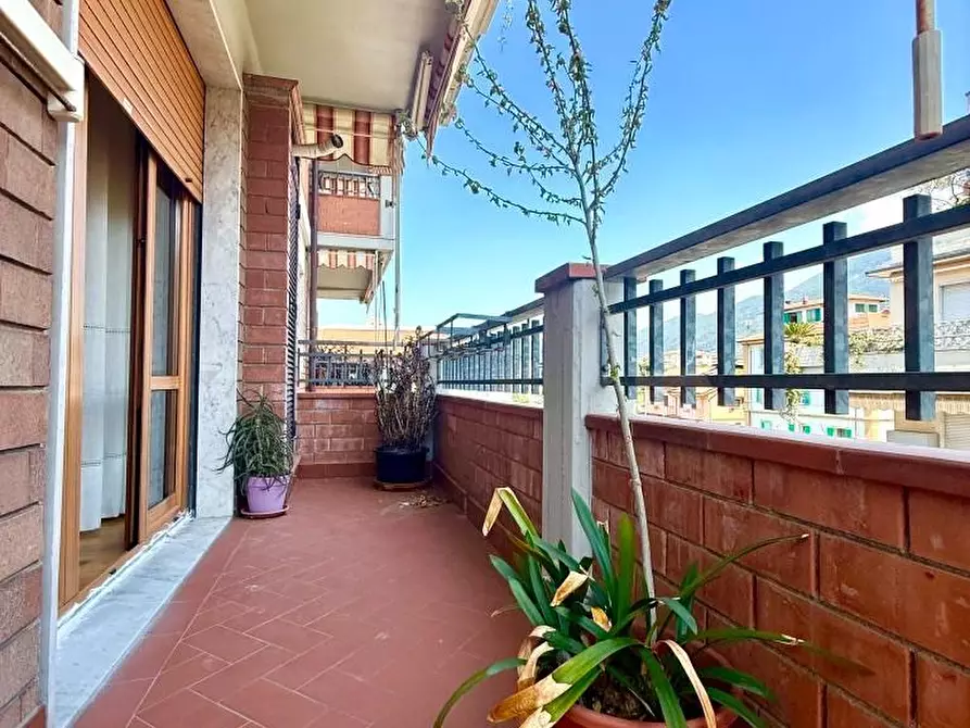 Immagine 23 di Appartamento in vendita  a Massa