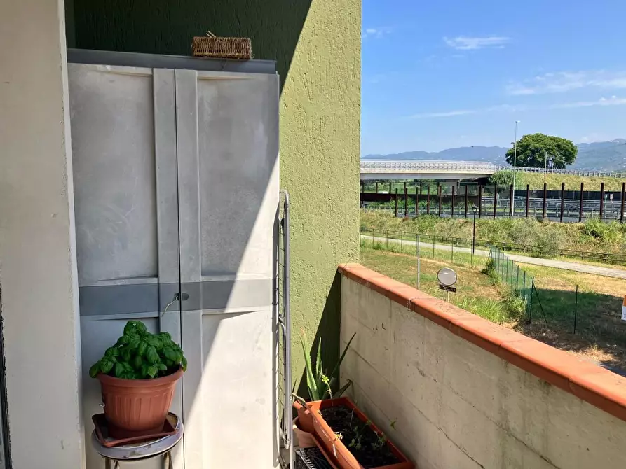 Immagine 18 di Appartamento in vendita  a Ortonovo