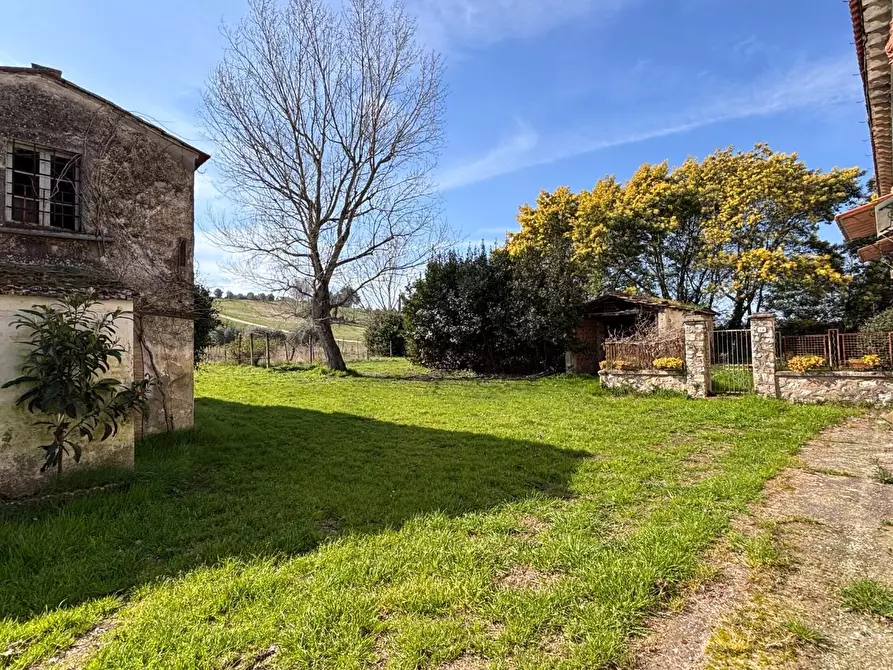 Immagine 27 di Casa colonica in vendita  a Casciana Terme Lari