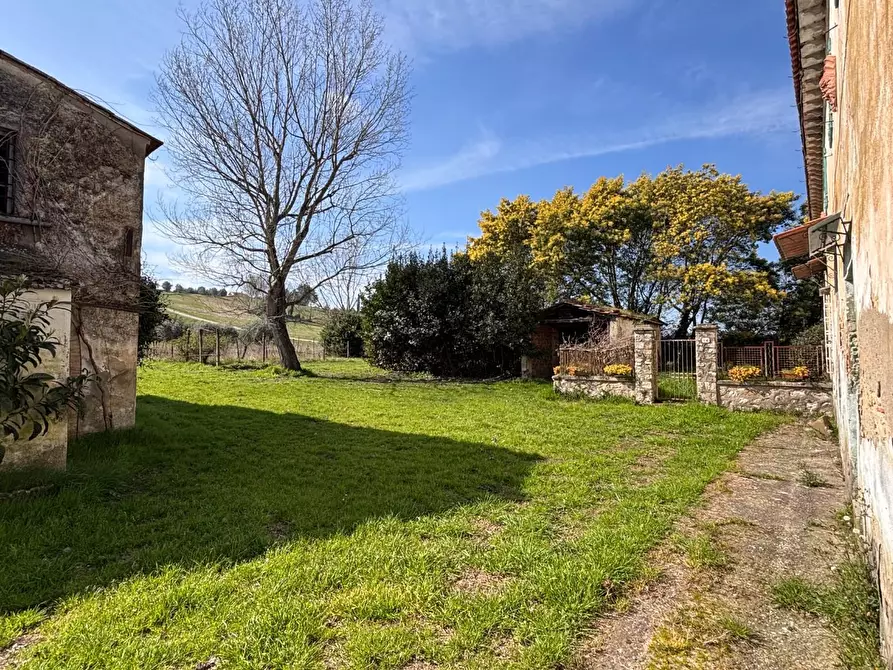Immagine 26 di Casa colonica in vendita  a Casciana Terme Lari