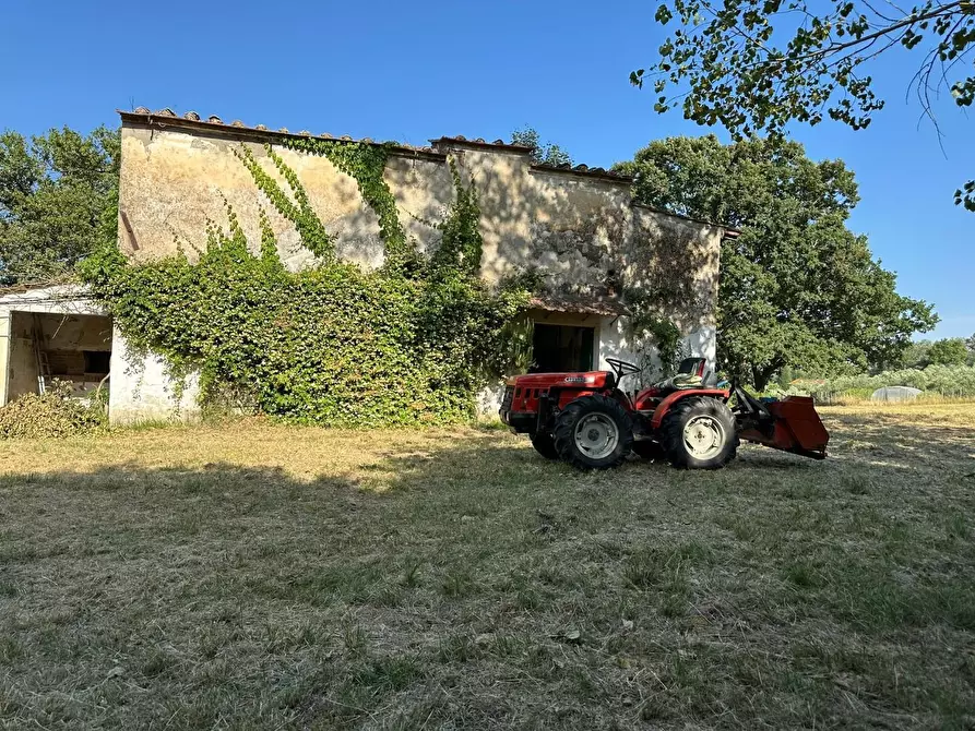 Immagine 2 di Casa colonica in vendita  a Casciana Terme Lari
