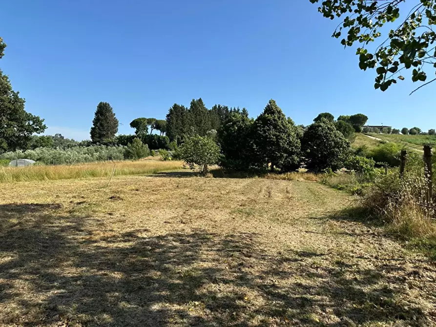 Immagine 5 di Casa colonica in vendita  a Casciana Terme Lari