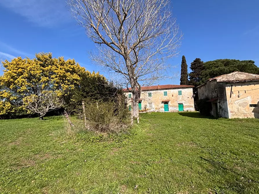 Immagine 24 di Casa colonica in vendita  a Casciana Terme Lari