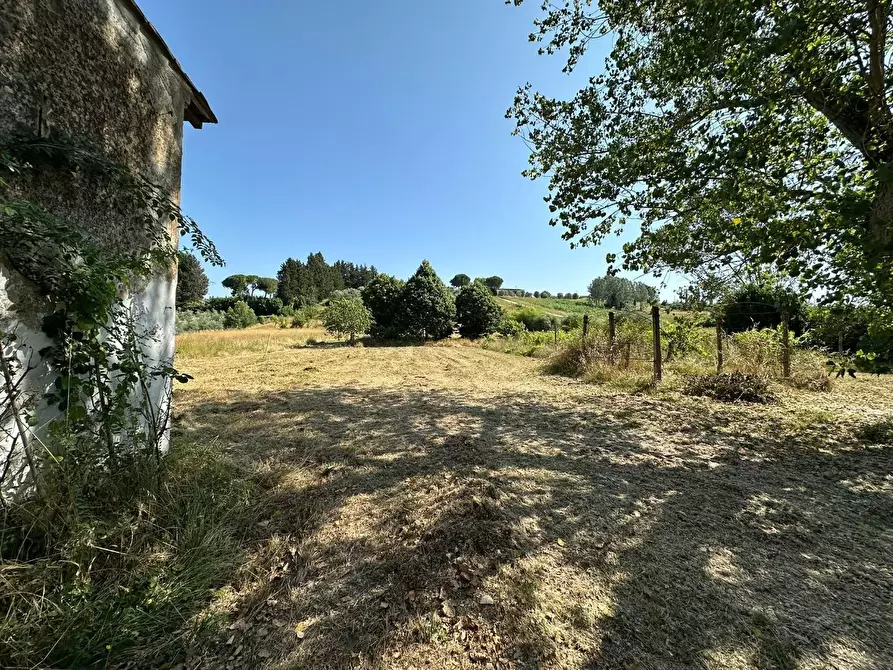 Immagine 3 di Casa colonica in vendita  a Casciana Terme Lari