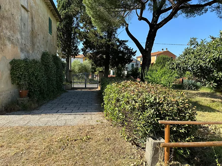 Immagine 6 di Casa colonica in vendita  a Casciana Terme Lari