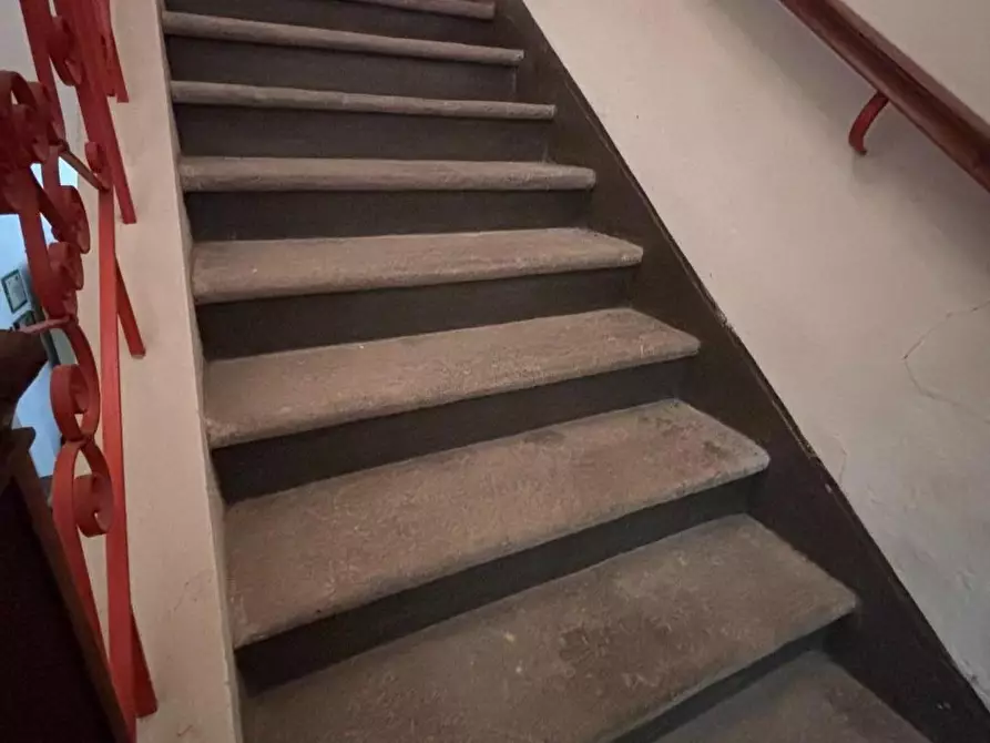 Immagine 11 di Casa colonica in vendita  a Casciana Terme Lari