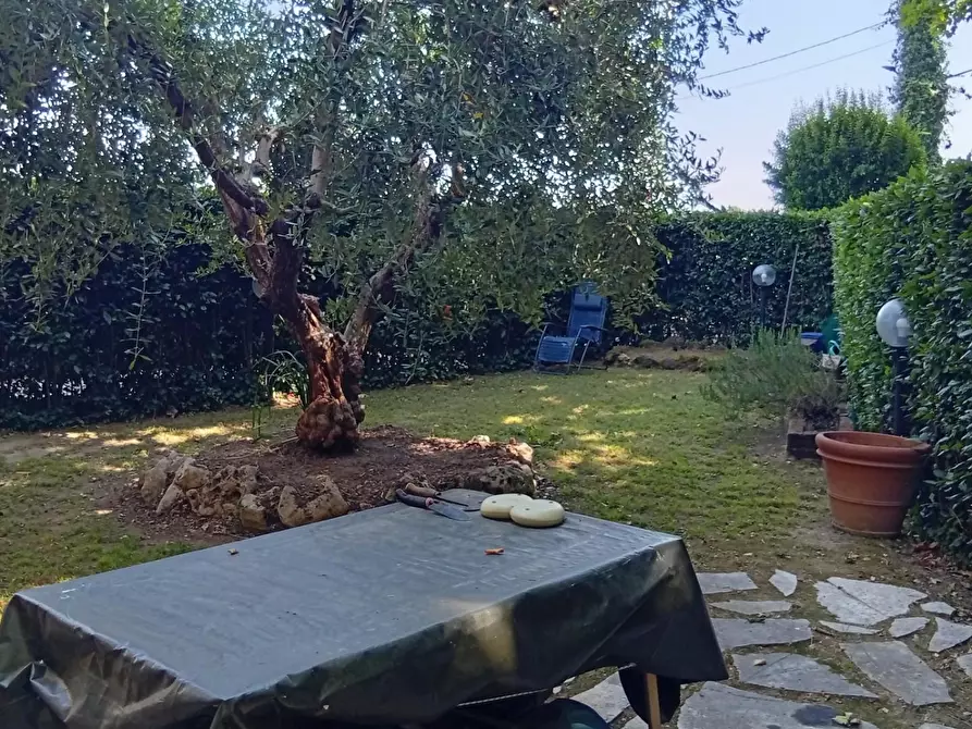 appartamento in vendita a San Giuliano Terme in zona Arena-Metato