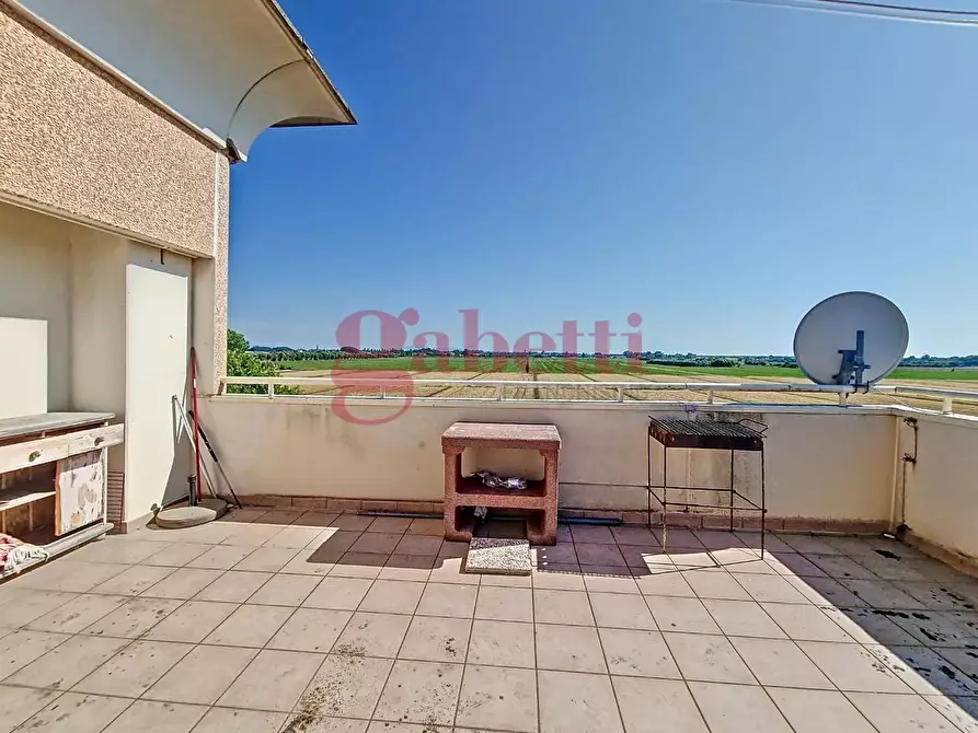 Immagine 6 di Appartamento in vendita  a San Giuliano Terme