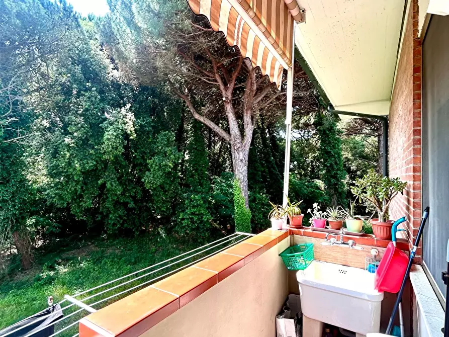 Immagine 14 di Appartamento in vendita  a Pisa