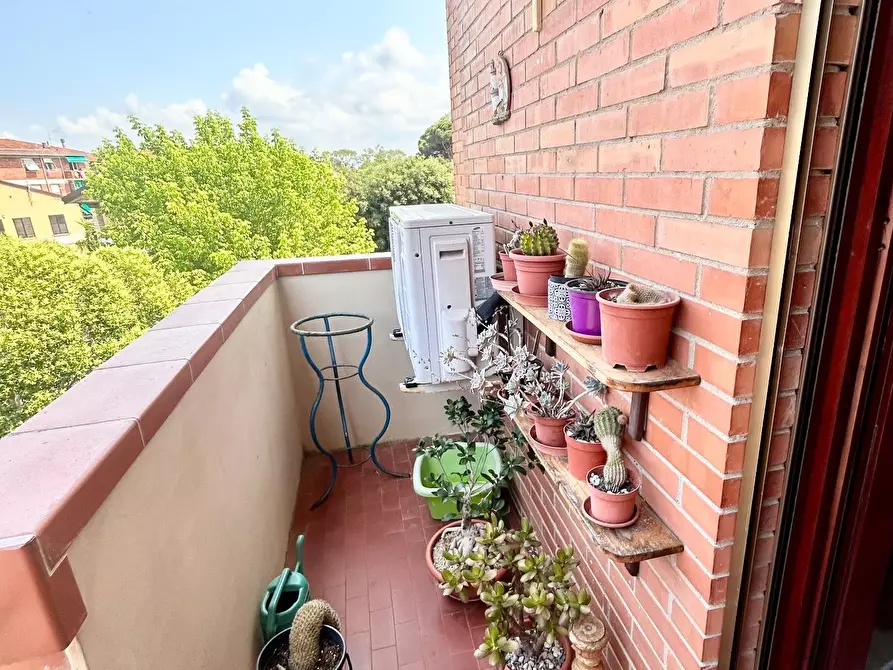 Immagine 6 di Appartamento in vendita  a Pisa