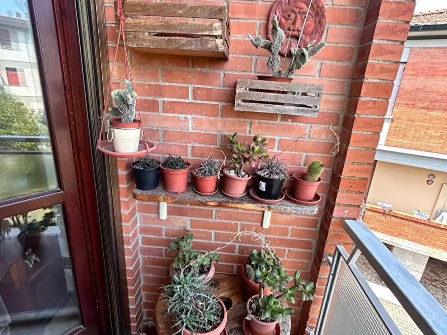 Immagine 4 di Appartamento in vendita  a Pisa