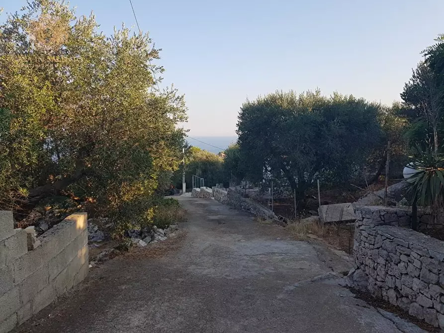 Immagine 3 di Casa indipendente in vendita  a Corsano