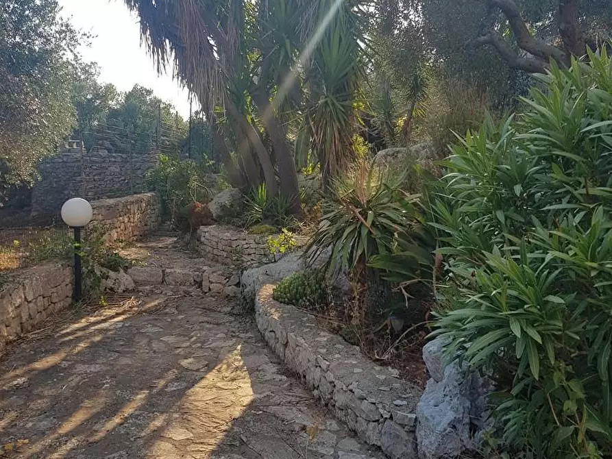 Immagine 12 di Casa indipendente in vendita  a Corsano