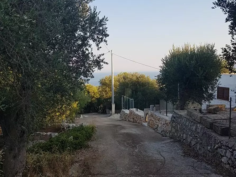 Immagine 31 di Casa indipendente in vendita  a Corsano