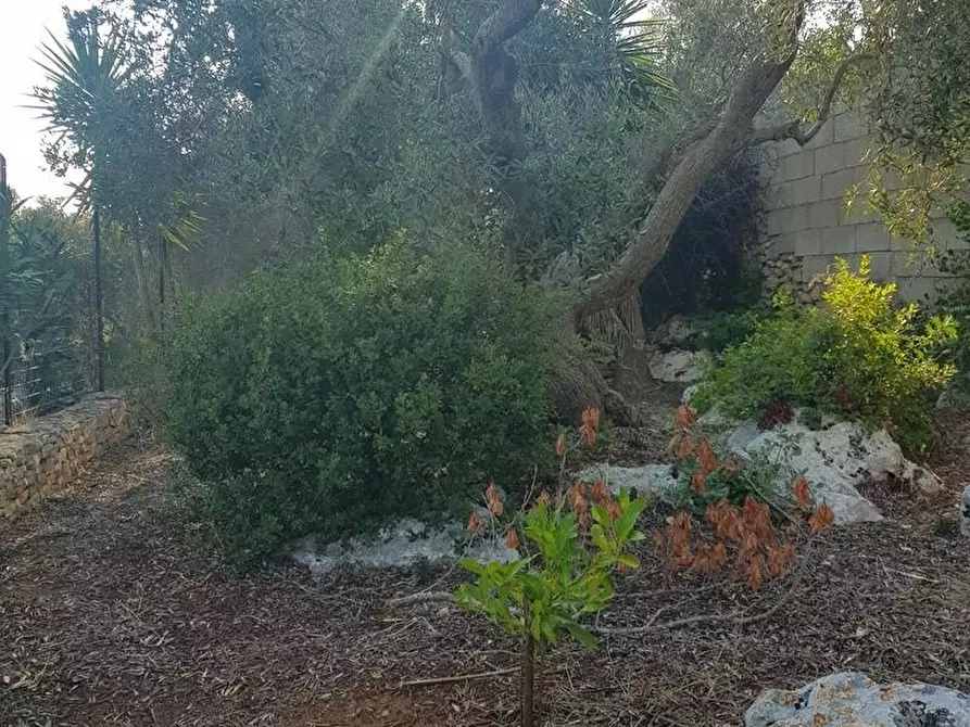 Immagine 5 di Casa indipendente in vendita  a Corsano