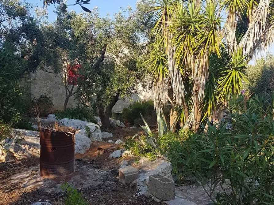 Immagine 9 di Casa indipendente in vendita  a Corsano