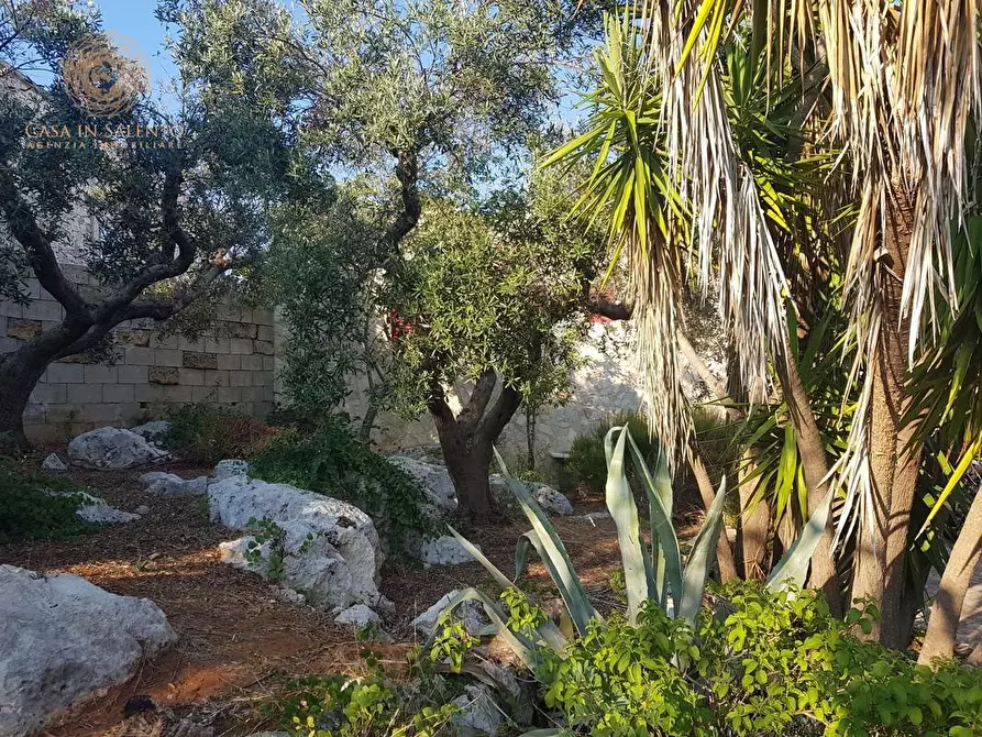 Immagine 6 di Casa indipendente in vendita  a Corsano