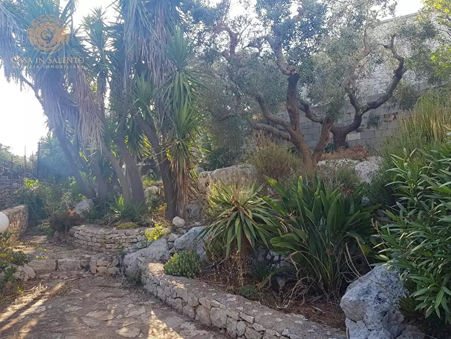Immagine 11 di Casa indipendente in vendita  a Corsano