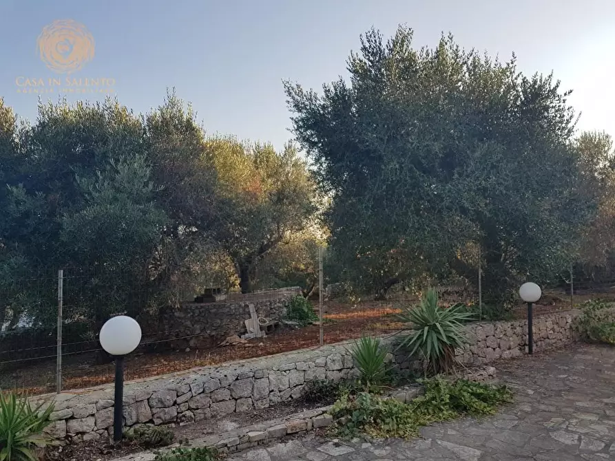 Immagine 35 di Casa indipendente in vendita  a Corsano