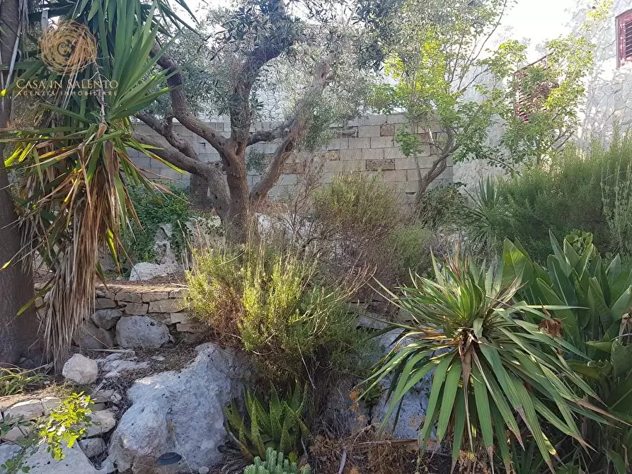 Immagine 10 di Casa indipendente in vendita  a Corsano