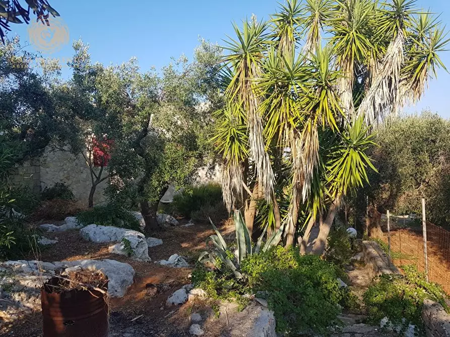 Immagine 7 di Casa indipendente in vendita  a Corsano
