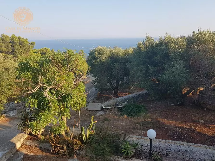 Immagine 4 di Casa indipendente in vendita  a Corsano