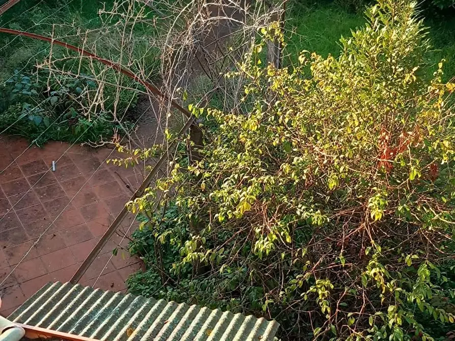 Immagine 66 di Terratetto in vendita  a Carrara