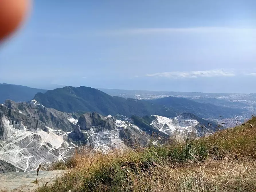 Immagine 10 di Terratetto in vendita  a Carrara