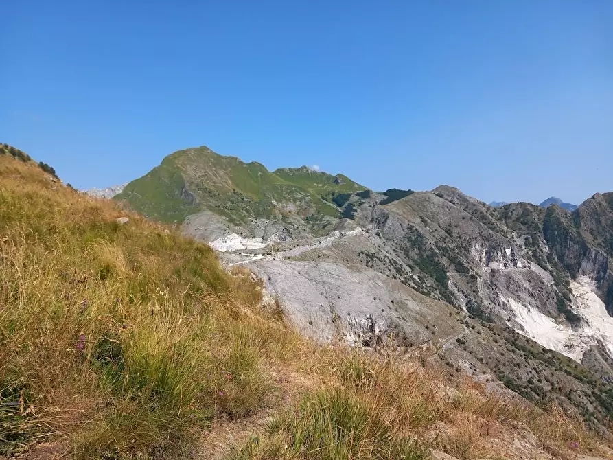 Immagine 11 di Terratetto in vendita  a Carrara