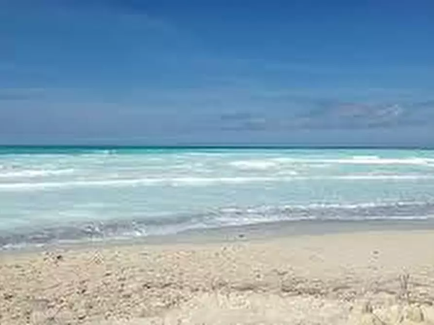 Immagine 4 di Terratetto in vendita  a Carrara