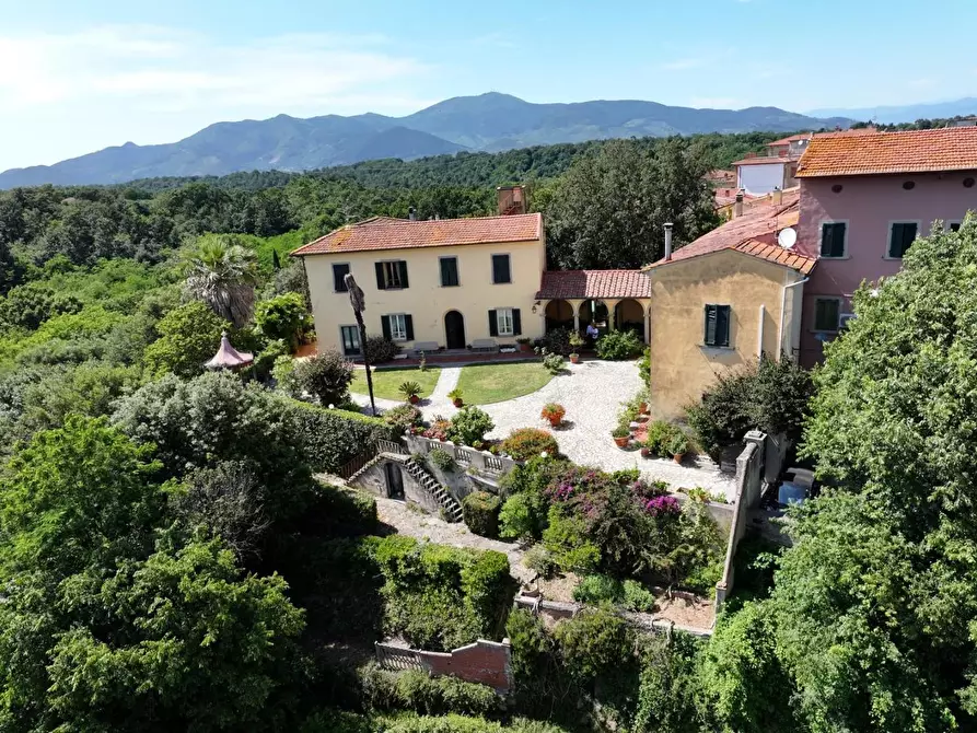 Immagine 6 di Villa in vendita  a Santa Maria A Monte