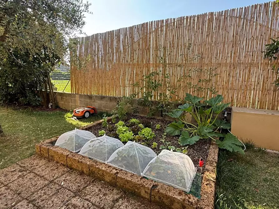 Immagine 36 di Casa bifamiliare in vendita  a Massarosa