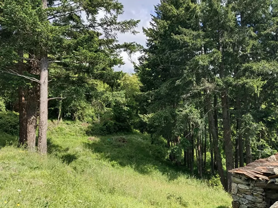 Immagine 24 di Rustico / casale in vendita  a Leivi