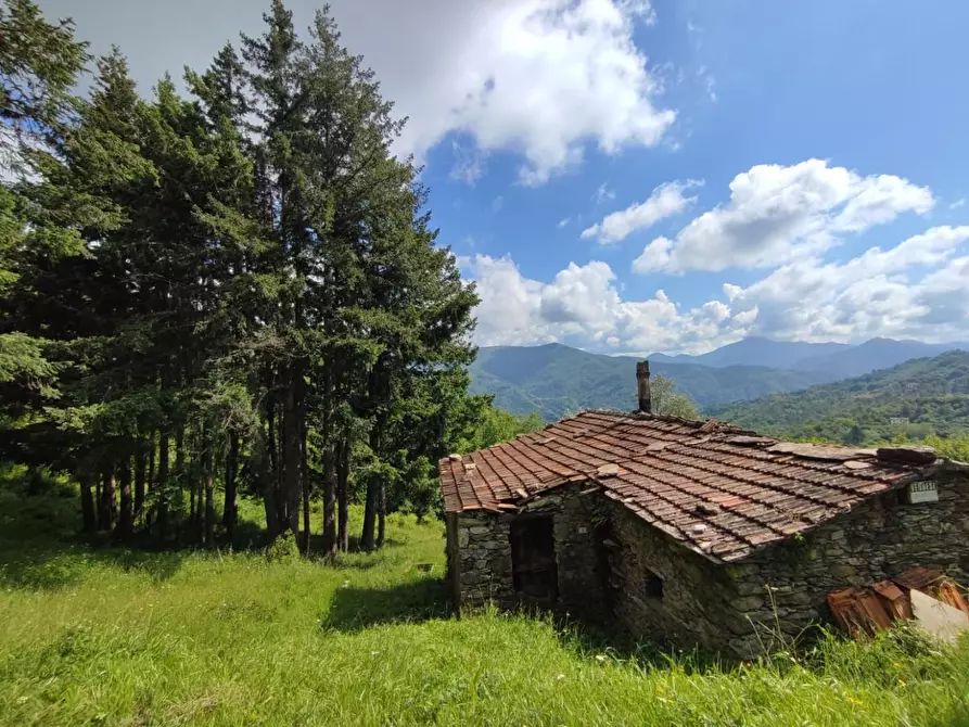 Immagine 1 di Rustico / casale in vendita  a Leivi