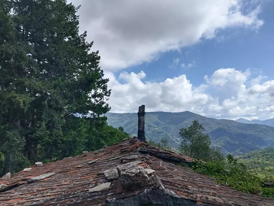 Immagine 17 di Rustico / casale in vendita  a Leivi