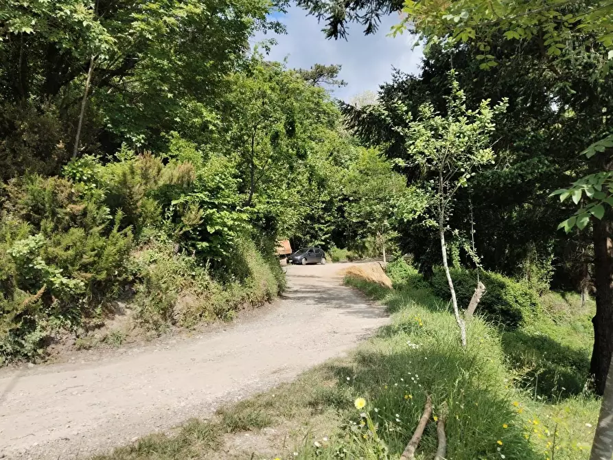 Immagine 23 di Rustico / casale in vendita  a Leivi