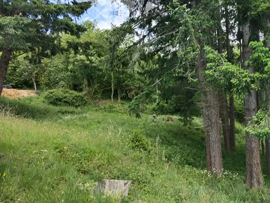 Immagine 28 di Rustico / casale in vendita  a Leivi