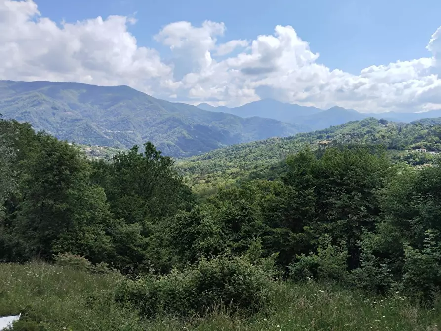 Immagine 33 di Rustico / casale in vendita  a Leivi