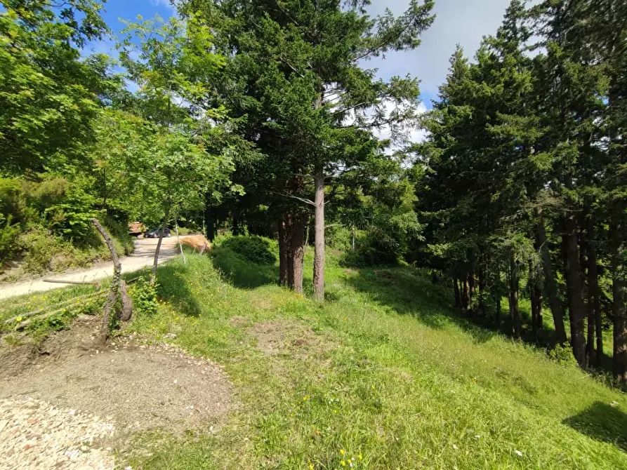 Immagine 29 di Rustico / casale in vendita  a Leivi