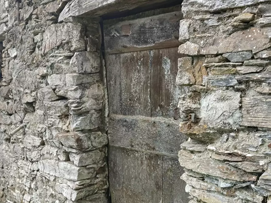 Immagine 11 di Rustico / casale in vendita  a Leivi