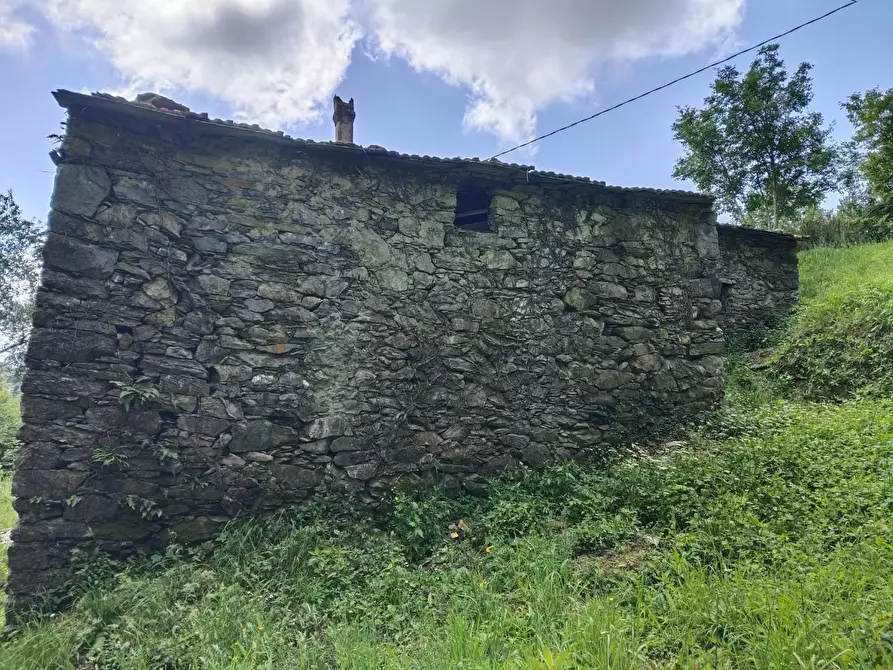 Immagine 14 di Rustico / casale in vendita  a Leivi