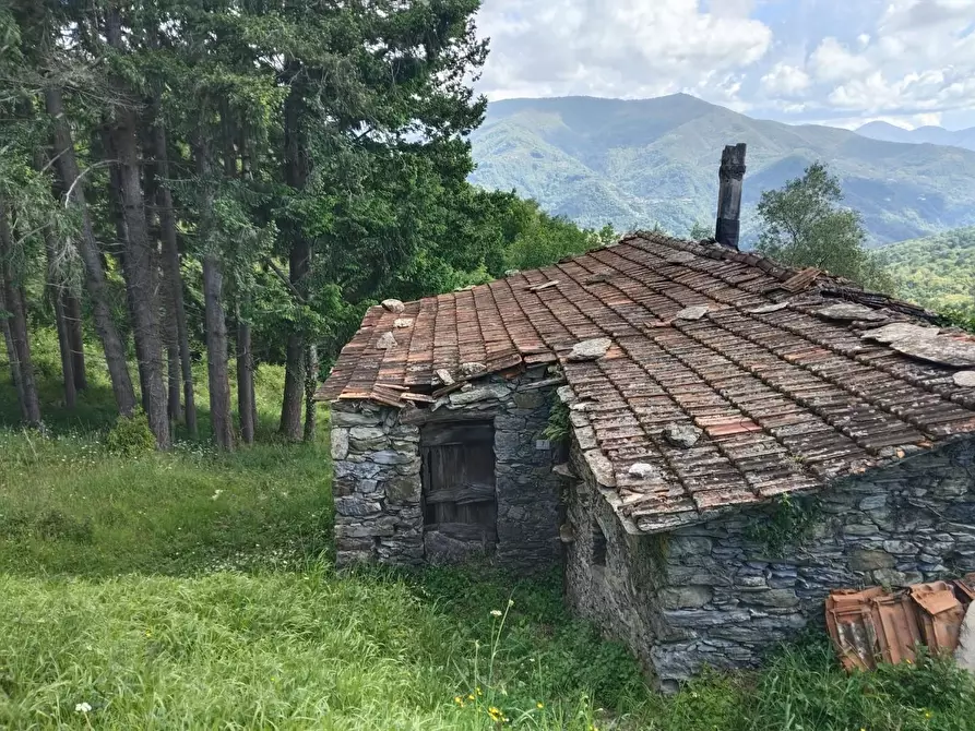 Immagine 7 di Rustico / casale in vendita  a Leivi