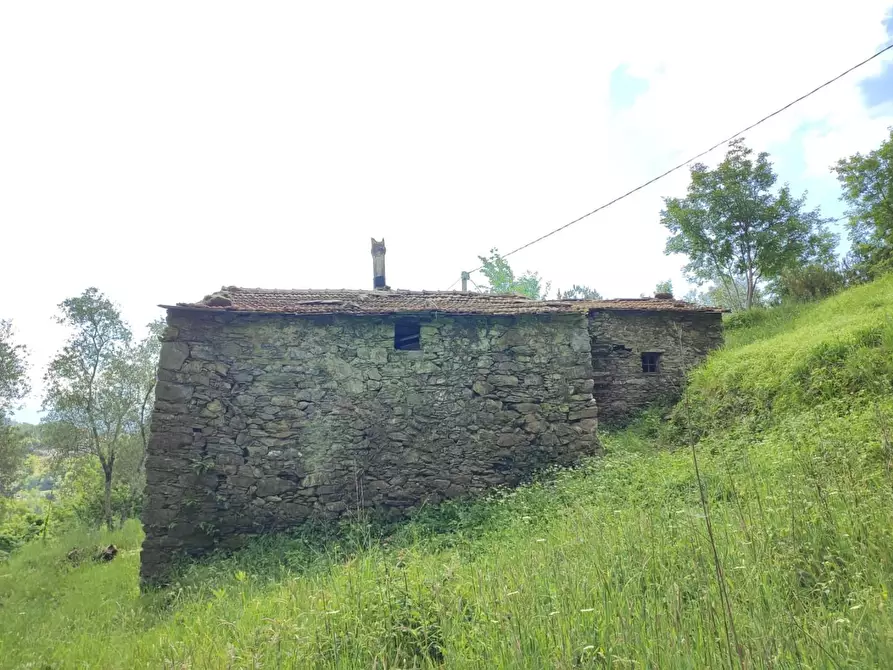 Immagine 15 di Rustico / casale in vendita  a Leivi