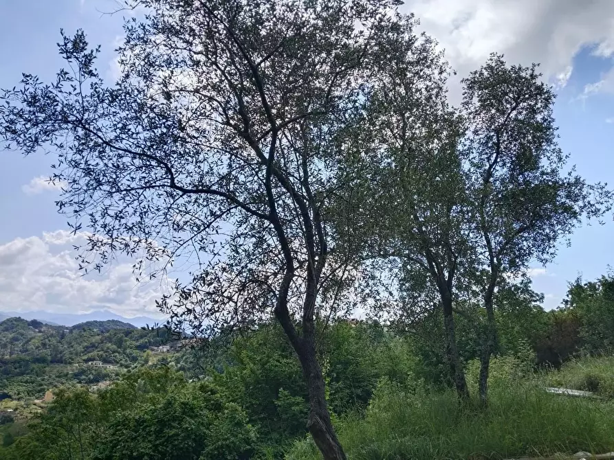 Immagine 32 di Rustico / casale in vendita  a Leivi