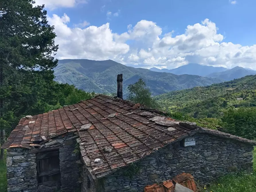 Immagine 18 di Rustico / casale in vendita  a Leivi