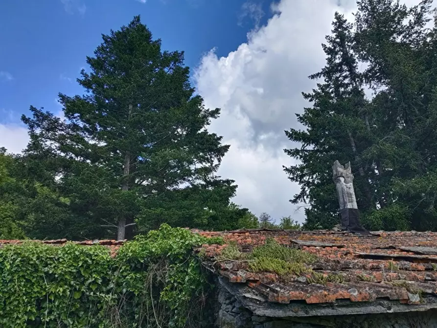 Immagine 20 di Rustico / casale in vendita  a Leivi