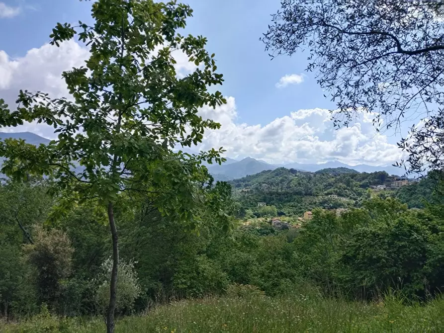 Immagine 31 di Rustico / casale in vendita  a Leivi