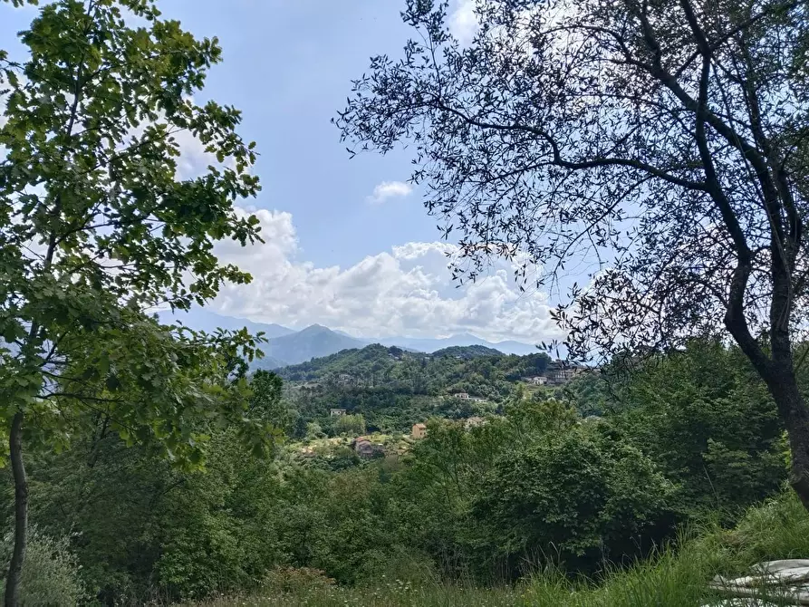 Immagine 21 di Rustico / casale in vendita  a Leivi